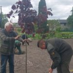 День благоустрою на території коледжу
